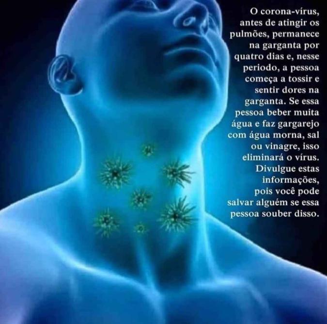 (foto: Reprodução/WhatsApp) (foto: Reprodução/WhatsApp)