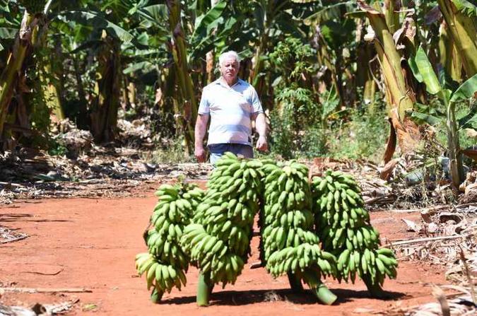 Bernardes trocou hortaliças pela fruta, plantada em 19 dos 22,5 hectares de sua propriedade no núcleo Pipiripau, em Planaltina(foto: Ed Alves/CB/D.A Press) Bernardes trocou hortaliças pela fruta, plantada em 19 dos 22,5 hectares de sua propriedade no núcleo Pipiripau, em Planaltina(foto: Ed Alves/CB/D.A Press)
