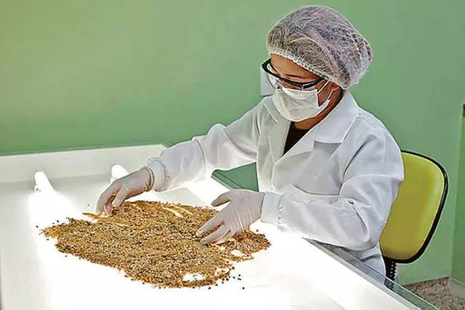 Os nutricosméticos nasceram da combinação de pílulas, vitaminas, minerais e enzimas(foto: Divulgação ) Os nutricosméticos nasceram da combinação de pílulas, vitaminas, minerais e enzimas(foto: Divulgação )