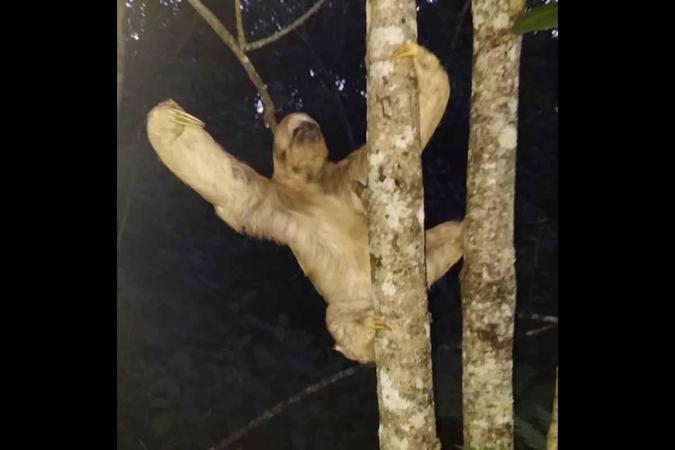 Divulgação Divulgação