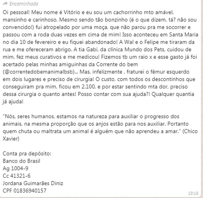 (foto: Reprodução WhatsApp) (foto: Reprodução WhatsApp)