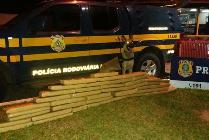 Maconha encontrada em bagageiro de ônibus(foto: Divulgação/ Polícia Rodoviária Federal ) Maconha encontrada em bagageiro de ônibus(foto: Divulgação/ Polícia Rodoviária Federal )