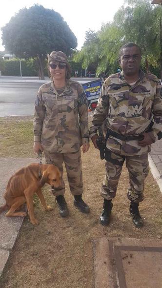 Por meio de grupo no WhatsApp, policiais militares do DF encontram lares para animais abandonados que passaram por maus-tratos (foto: Batalhão de Polícia Militar Ambiental/Divulgação ) Por meio de grupo no WhatsApp, policiais militares do DF encontram lares para animais abandonados que passaram por maus-tratos (foto: Batalhão de Polícia Militar Ambiental/Divulgação )