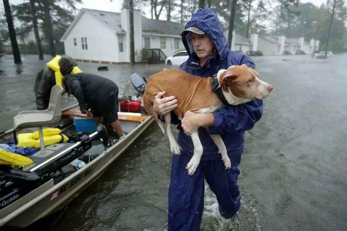 (foto: AFP) (foto: AFP)
