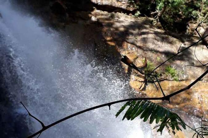 Há muitas opções de trilhas com cachoeiras no Distrito Federal: o Tororó é uma delas(foto: Luiz Calcagno/CB/D.A Press) Há muitas opções de trilhas com cachoeiras no Distrito Federal: o Tororó é uma delas(foto: Luiz Calcagno/CB/D.A Press)