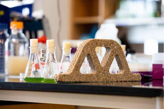 Construções verdes: as cianobactérias presentes nos tijolos capturam o CO2 atmosférico para crescer(foto: University of Colorado/Boulder/Divulgação - 30/1/19) Construções verdes: as cianobactérias presentes nos tijolos capturam o CO2 atmosférico para crescer(foto: University of Colorado/Boulder/Divulgação - 30/1/19)