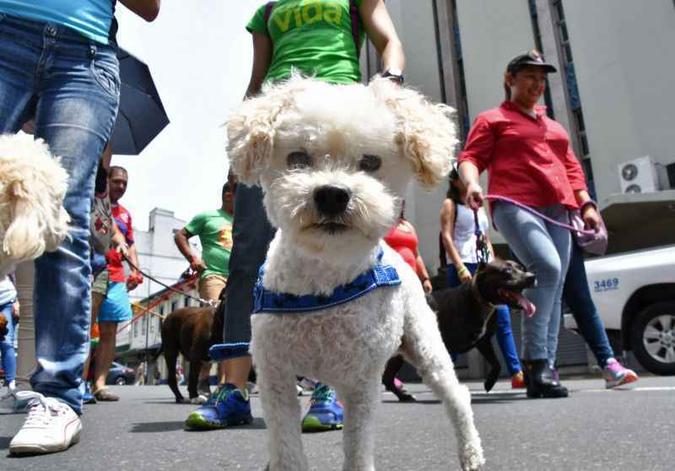 (foto: AFP / Ezequiel BECERRA) (foto: AFP / Ezequiel BECERRA)