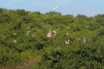 Fauna e flora da região encantam os turistas e também os moradores(foto: Ana Rayssa/Esp. CB/D.A Press) Fauna e flora da região encantam os turistas e também os moradores(foto: Ana Rayssa/Esp. CB/D.A Press)