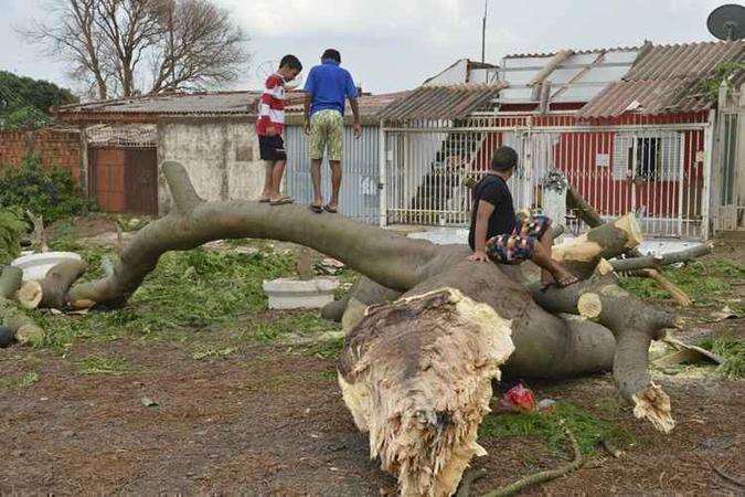 Inmet emitiu alerta para nova tempestade no DF, com risco de queda de árvores e granizo(foto: Ed Alves/CB/D.A press) Inmet emitiu alerta para nova tempestade no DF, com risco de queda de árvores e granizo(foto: Ed Alves/CB/D.A press)