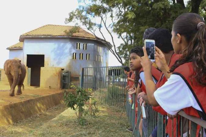 (foto: Fundação Jardim Zoológico de Brasília/Divulgação) (foto: Fundação Jardim Zoológico de Brasília/Divulgação)