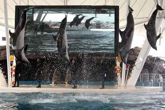 (foto: Atta Kenare/AFP) (foto: Atta Kenare/AFP)