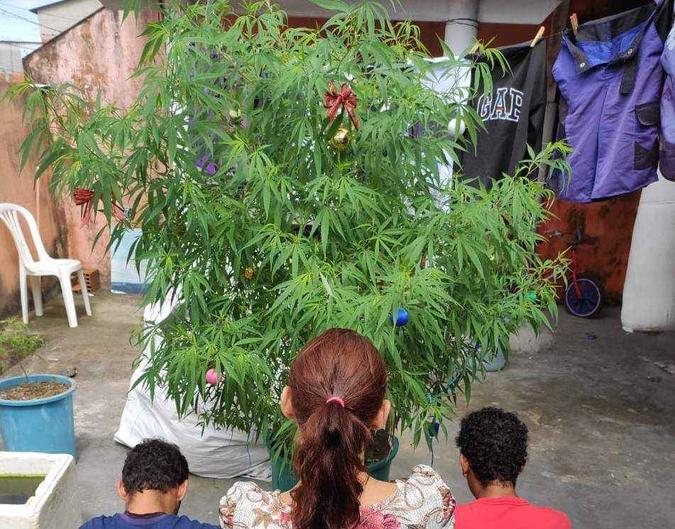 (foto: Divulgação/ Policia Militar) (foto: Divulgação/ Policia Militar)