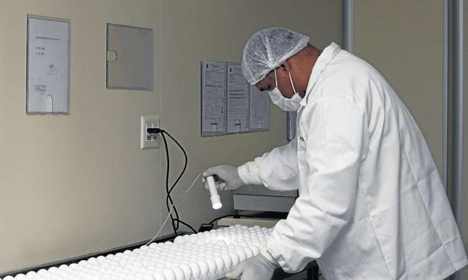 Instituto Butantan produz vacina contra o vírus Influenza: processo começa 18 meses antes da entrega da primeira dose e a fabricação leva cerca de 9 meses(foto: foto: Instituto Butantan/Divulgação) Instituto Butantan produz vacina contra o vírus Influenza: processo começa 18 meses antes da entrega da primeira dose e a fabricação leva cerca de 9 meses(foto: foto: Instituto Butantan/Divulgação)