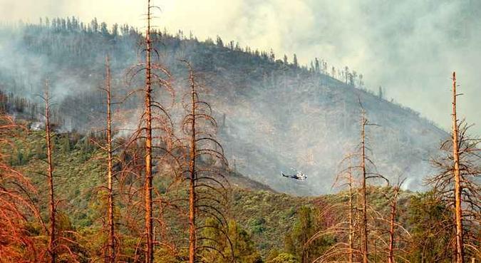 O incêndio, batizado de Ferguson, destruiu mais de 13.600 hectares(foto: Noah Berger/AFP) O incêndio, batizado de Ferguson, destruiu mais de 13.600 hectares(foto: Noah Berger/AFP)