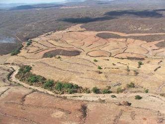 Área desmatada de Caatinga: pesquisa com base em dados de satélites(foto: Marco Vital/Ibama/Divulgação) Área desmatada de Caatinga: pesquisa com base em dados de satélites(foto: Marco Vital/Ibama/Divulgação)