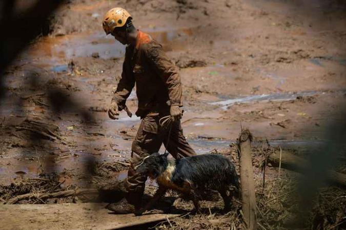 (foto: Mauro Pimentel/AFP ) (foto: Mauro Pimentel/AFP )