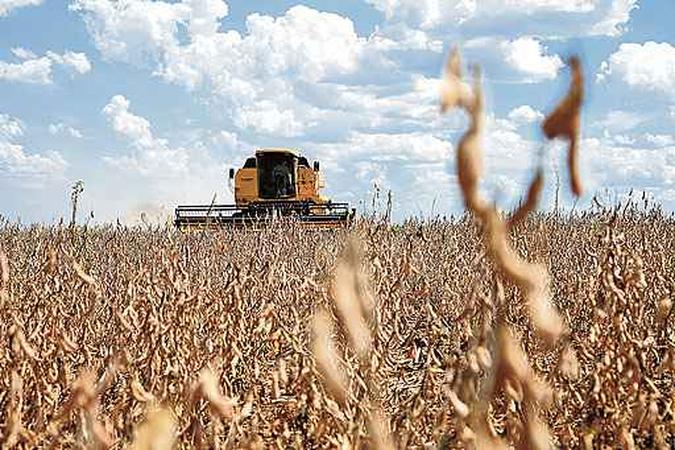 Maior produtor mundial de soja, o Brasil pode ficar sem a próxima safra, alertam os produtores rurais, que pedem agilidade na análise do pesticida pela Anvisa(foto: Monsanto/Divulgação ) Maior produtor mundial de soja, o Brasil pode ficar sem a próxima safra, alertam os produtores rurais, que pedem agilidade na análise do pesticida pela Anvisa(foto: Monsanto/Divulgação )