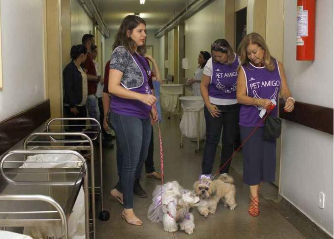O projeto, sem fins lucrativos, conta com 23 cachorros. Além dos proprietários, há participantes que não são donos de bichos. Ao todo, são 40 voluntários(foto: Ana Rayssa/Esp. CB/D.A Press) O projeto, sem fins lucrativos, conta com 23 cachorros. Além dos proprietários, há participantes que não são donos de bichos. Ao todo, são 40 voluntários(foto: Ana Rayssa/Esp. CB/D.A Press)