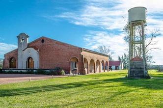 (foto: Bodega Bouza, a 15km de Montevidéu, Uruguai) (foto: Bodega Bouza, a 15km de Montevidéu, Uruguai)