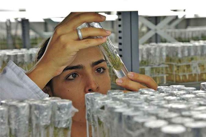 (foto: Wilson Dias/ABr) (foto: Wilson Dias/ABr)