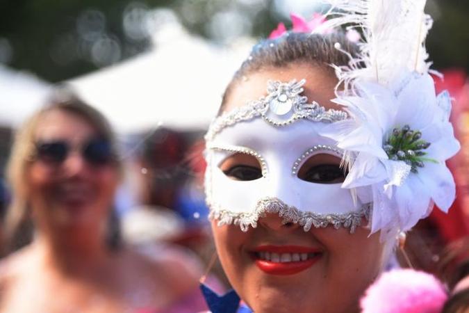 Foliona fantasiada comemorando o carnaval(foto: Ed Alves/CB/D.A Press) Foliona fantasiada comemorando o carnaval(foto: Ed Alves/CB/D.A Press)