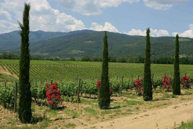 (foto: Tenuta Sette Ponti/Divulgação) (foto: Tenuta Sette Ponti/Divulgação)