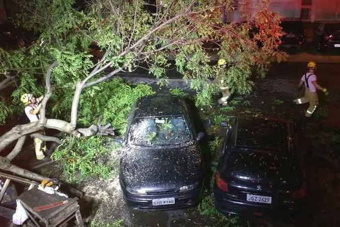 Árvore atinge dois veículos estacionados em vagas no Cruzeiro Velho(foto: Corpo de Bombeiros/Divulgação) Árvore atinge dois veículos estacionados em vagas no Cruzeiro Velho(foto: Corpo de Bombeiros/Divulgação)