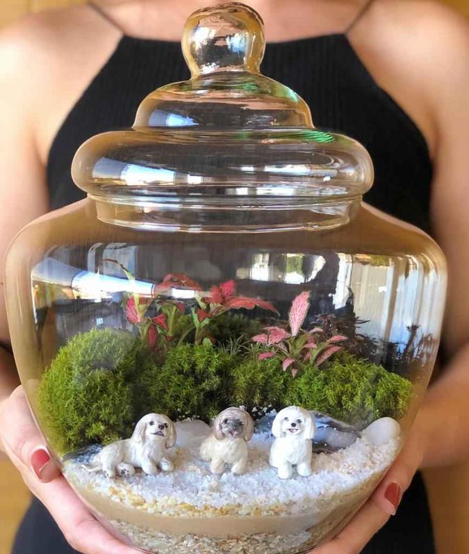 Este terrário foi pensado por uma neta para presentear a avó. Os três cachorros representam os pets da avó.(foto: VerdeArt Terrários e Mini Jardins/Divulgação) Este terrário foi pensado por uma neta para presentear a avó. Os três cachorros representam os pets da avó.(foto: VerdeArt Terrários e Mini Jardins/Divulgação)