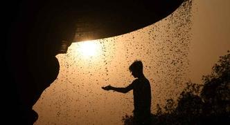 As águas fósseis, em comparação, permaneceram isoladas sob a terra por muito tempo, sem sofrer alterações provocadas pela atividade humana(foto: Dominique Faget/AFP) As águas fósseis, em comparação, permaneceram isoladas sob a terra por muito tempo, sem sofrer alterações provocadas pela atividade humana(foto: Dominique Faget/AFP)