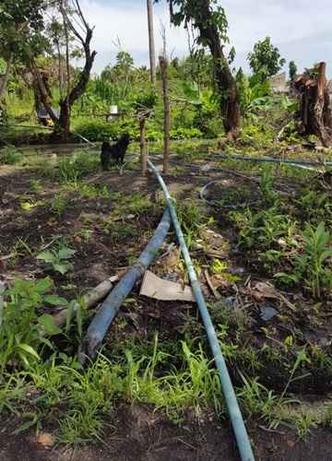 A água captada das nascentes era bombeada e usada na irrigação de horta(foto: PMDF/Divulgação) A água captada das nascentes era bombeada e usada na irrigação de horta(foto: PMDF/Divulgação)