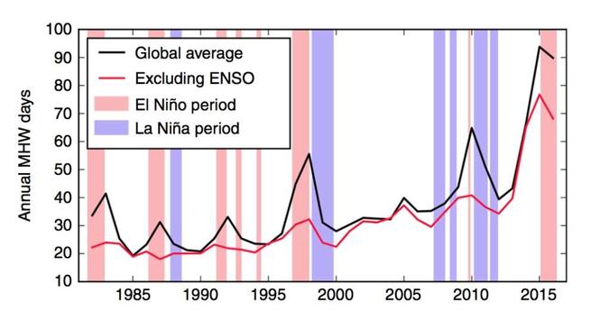 O gráfico mostra o número global de dias de ondas de calor por ano de 1982 a 2016 com (linha preta) e sem (vermelho) a influência do ENSO incluído. Enquanto a remoção do impacto do ENSO amortece alguns dos picos nos dias de ondas de calor marítimas, a tendência crescente permanece(foto: Reprodução) O gráfico mostra o número global de dias de ondas de calor por ano de 1982 a 2016 com (linha preta) e sem (vermelho) a influência do ENSO incluído. Enquanto a remoção do impacto do ENSO amortece alguns dos picos nos dias de ondas de calor marítimas, a tendência crescente permanece(foto: Reprodução)