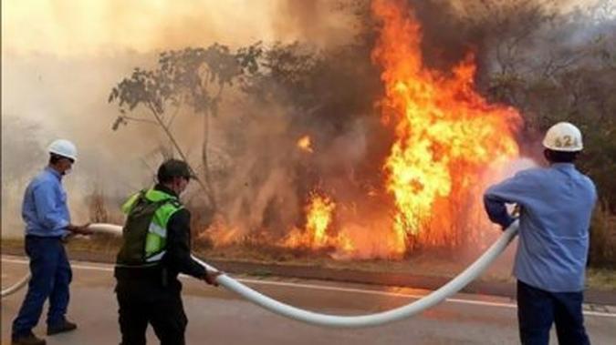 Bombeiros trabalhando para apagar chamas em Robore, província de Santa Cruz, no leste da Bolívia(foto: Bolivia's Defence Ministry/AFP) Bombeiros trabalhando para apagar chamas em Robore, província de Santa Cruz, no leste da Bolívia(foto: Bolivia's Defence Ministry/AFP)