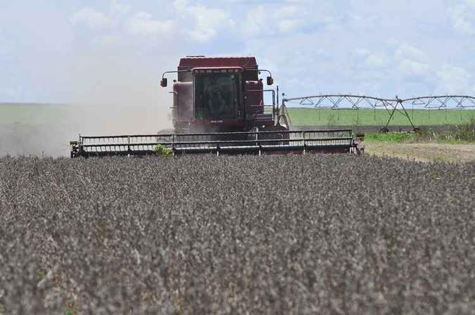 Em nota, a pasta destacou que, do total, o segmento agrícola representará R$ 383,3 bilhões (-0,29% ante 2017) e a pecuária, outros R$ 179,1 bilhões (-5,21%)(foto: Minervino Junior/CB/D.A Press) Em nota, a pasta destacou que, do total, o segmento agrícola representará R$ 383,3 bilhões (-0,29% ante 2017) e a pecuária, outros R$ 179,1 bilhões (-5,21%)(foto: Minervino Junior/CB/D.A Press)