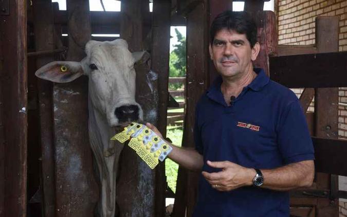 Luís Barcelos de Melo, administrador da fazenda Sanga Puitã: rentabilidade do negócio vai aumentar(foto: Ed Alves/CB/D.A Press) Luís Barcelos de Melo, administrador da fazenda Sanga Puitã: rentabilidade do negócio vai aumentar(foto: Ed Alves/CB/D.A Press)