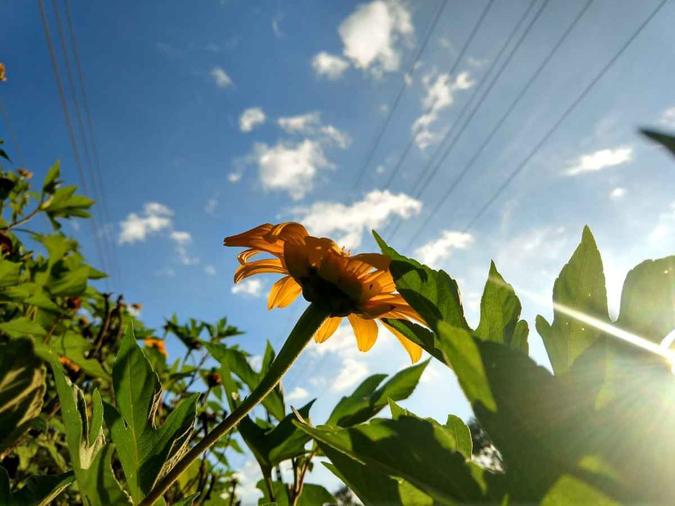 O tempo em Brasília será de sol e calor no sábado, com pancadas de chuva. No domingo, a previsão para o DF é de temperatura na casa dos 32ºC(foto: Bárbara Cabral/Esp. CB/D.A Press) O tempo em Brasília será de sol e calor no sábado, com pancadas de chuva. No domingo, a previsão para o DF é de temperatura na casa dos 32ºC(foto: Bárbara Cabral/Esp. CB/D.A Press)