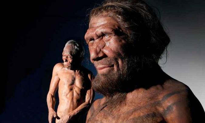 (foto: Kevin Webb/NHM Image ) (foto: Kevin Webb/NHM Image )