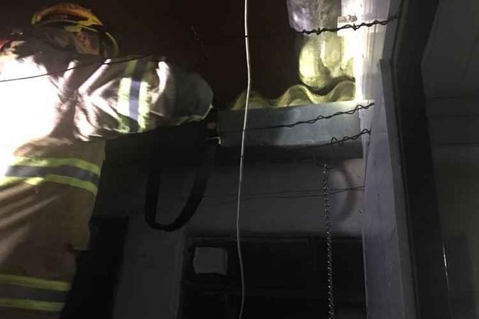 Uma gata deu à luz a cinco filhotes, mas um não resistiu e morreu mesmo após tentativas de reanimações feitas pelos bombeiros(foto: Corpo de Bombeiros/Divulgação) Uma gata deu à luz a cinco filhotes, mas um não resistiu e morreu mesmo após tentativas de reanimações feitas pelos bombeiros(foto: Corpo de Bombeiros/Divulgação)