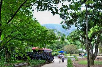 Jardim Botânico de Medellín(foto: Virginia/flickr) Jardim Botânico de Medellín(foto: Virginia/flickr)