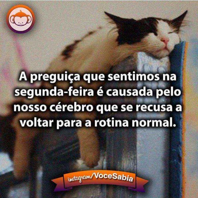 Tá explicado...Reprodução/Instagram Tá explicado...Reprodução/Instagram
