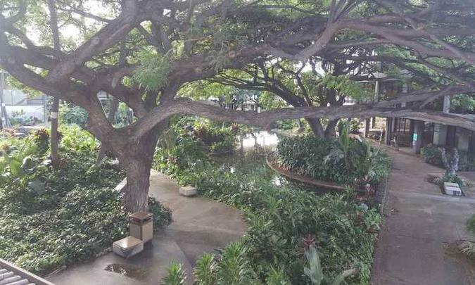 O aeroporto de Honolulu tem um surpreendente jardim japonês (foto: Paulo Silva Pinto/CB/DA Press) O aeroporto de Honolulu tem um surpreendente jardim japonês (foto: Paulo Silva Pinto/CB/DA Press)
