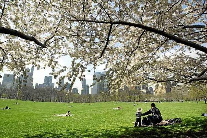 Central Park oferece belo cenário aos cerca de 30 milhões de turistas que o visitam todos os anos(foto: Jeff Christensen/Reuters - 19/4/04) Central Park oferece belo cenário aos cerca de 30 milhões de turistas que o visitam todos os anos(foto: Jeff Christensen/Reuters - 19/4/04)