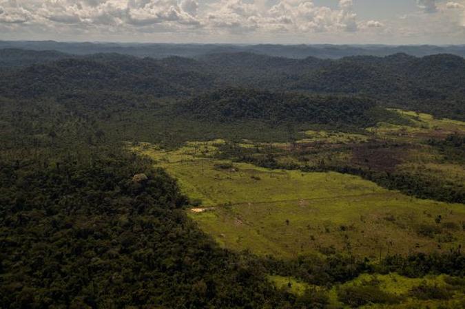 Área desmatada de 1.022 ha na APA Triunfo do Xingu, na cidade de São Félix do Xingu, no Pará(foto: Greenpeace/Divulgação) Área desmatada de 1.022 ha na APA Triunfo do Xingu, na cidade de São Félix do Xingu, no Pará(foto: Greenpeace/Divulgação)