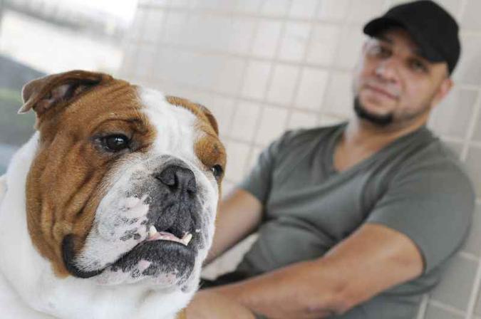 Tomás e o buldogue inglês Bartolomeu: depois de um ano e meio com os sintomas, o jovem o deixou na casa da mãe para Tomás e o buldogue inglês Bartolomeu: depois de um ano e meio com os sintomas, o jovem o deixou na casa da mãe para