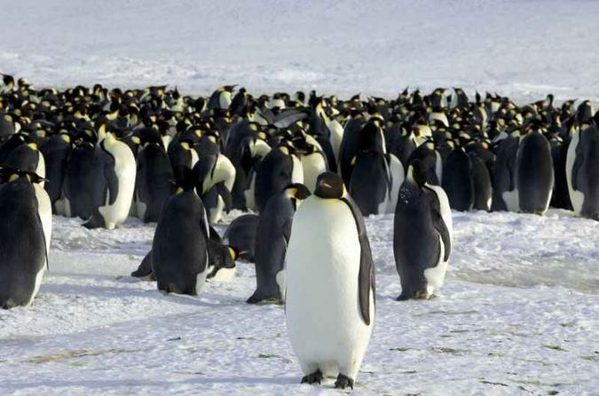 (foto: REUTERS/Martin Passingham) (foto: REUTERS/Martin Passingham)