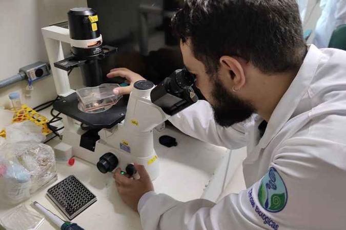 Estudo da UnB descobre que ômega-3 é nova arma contra o vírus Zika(foto: Robson Moura/TV Brasil ) Estudo da UnB descobre que ômega-3 é nova arma contra o vírus Zika(foto: Robson Moura/TV Brasil )
