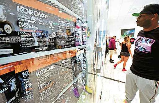 Comércio de produtos à base de Cannabis nos Estados Unidos está perto de alcançar cifras registradas pelos destilados (foto: Frederic J. BROWN/AFP ) Comércio de produtos à base de Cannabis nos Estados Unidos está perto de alcançar cifras registradas pelos destilados (foto: Frederic J. BROWN/AFP )