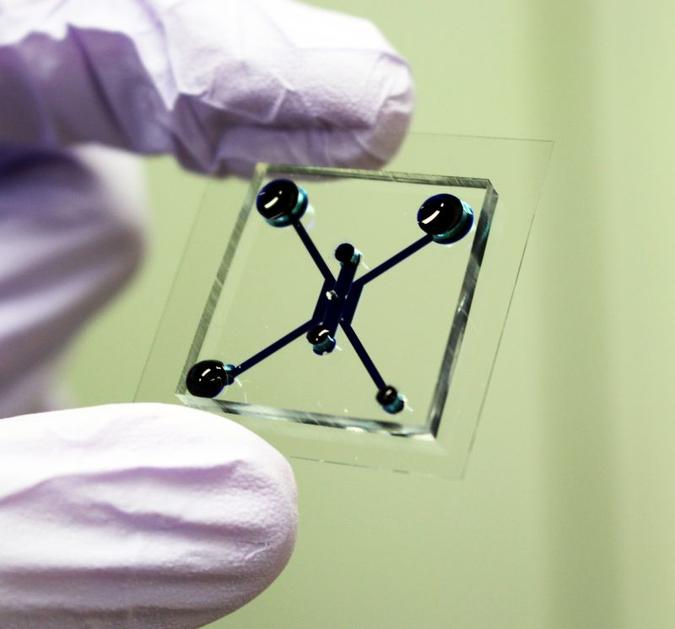 Dispositivo poderá ajudar em testes de medicamentos em potencial(foto: Kyoto University/Yokokawa Lab/Divulgação - 15/10/19) Dispositivo poderá ajudar em testes de medicamentos em potencial(foto: Kyoto University/Yokokawa Lab/Divulgação - 15/10/19)