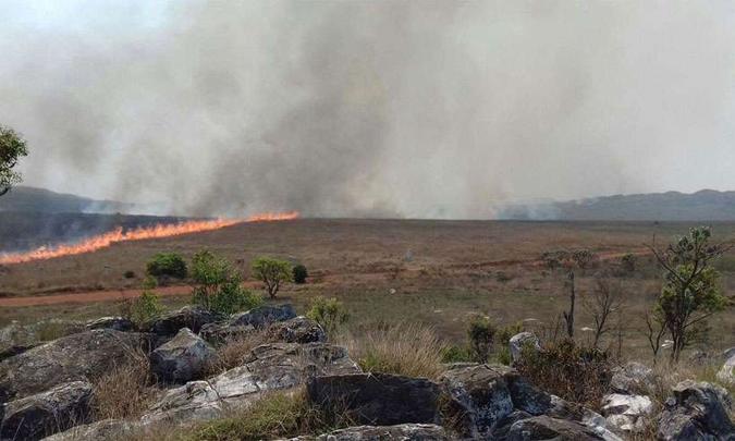 Segundo a Polícia Federal, alguns dos envolvidos chegaram a atear fogo no parque para facilitar a extração ilegal das pedras(foto: Parque Nacional da Serra da Canastra/ICMBio - 10/01/2016 ) Segundo a Polícia Federal, alguns dos envolvidos chegaram a atear fogo no parque para facilitar a extração ilegal das pedras(foto: Parque Nacional da Serra da Canastra/ICMBio - 10/01/2016 )