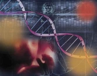 Os pesquisadores analisaram o sequenciamento do genoma e dados epidemiológicos de 32 tipos de câncer, com dados de pacientes dos Estados Unidos e de outros 68 países(foto: Editoria de Arte/CB/D.A Press) Os pesquisadores analisaram o sequenciamento do genoma e dados epidemiológicos de 32 tipos de câncer, com dados de pacientes dos Estados Unidos e de outros 68 países(foto: Editoria de Arte/CB/D.A Press)