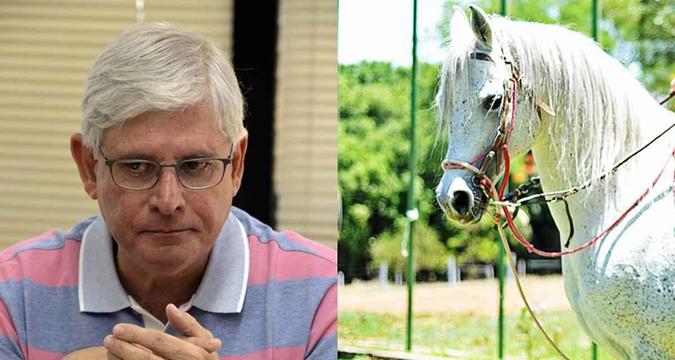 Rodrigo Janot foi apelidado de 'Cavalo Branco'D.A Press Rodrigo Janot foi apelidado de 'Cavalo Branco'D.A Press